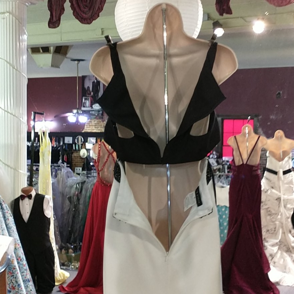 Alyce Paris evening gown - Picture 7 of 10